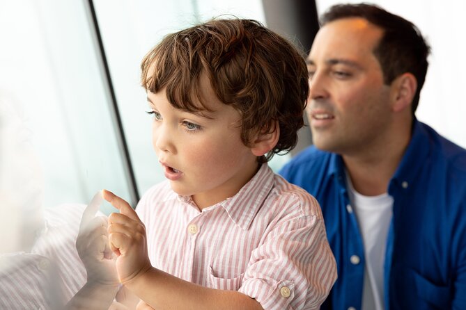 Auckland Sky Tower General Admission Ticket - What’s Not Included: Avoid the Common Value Trap