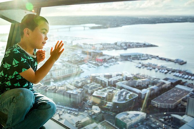 Auckland Sky Tower General Admission Ticket - Price Check: Does $24 Feel Like Value?
