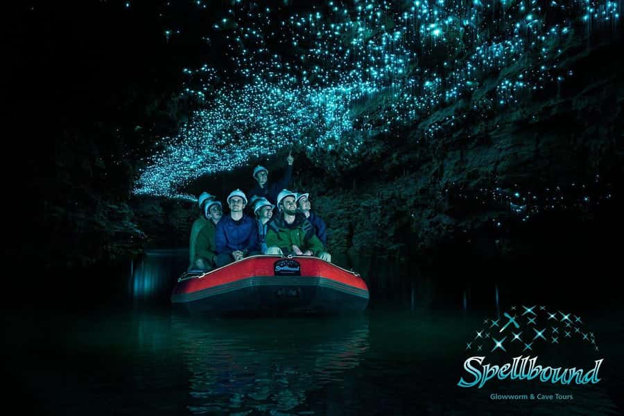 Auckland: Spellbound Glowworm Caves Explorer Tour - Pickups in Auckland CBD: small-group logistics that actually work