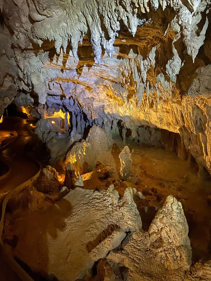 Auckland: Spellbound Glowworm Caves Explorer Tour - Guide quality: the difference between seeing caves and understanding them