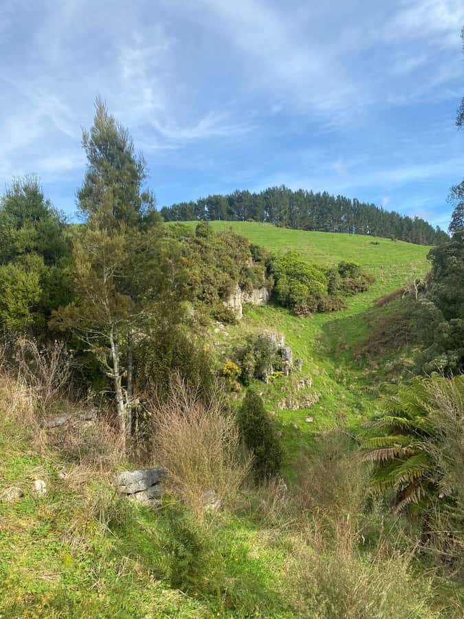 Auckland: Spellbound Glowworm Caves Explorer Tour - Comfort and fitness reality check (read this before you book)