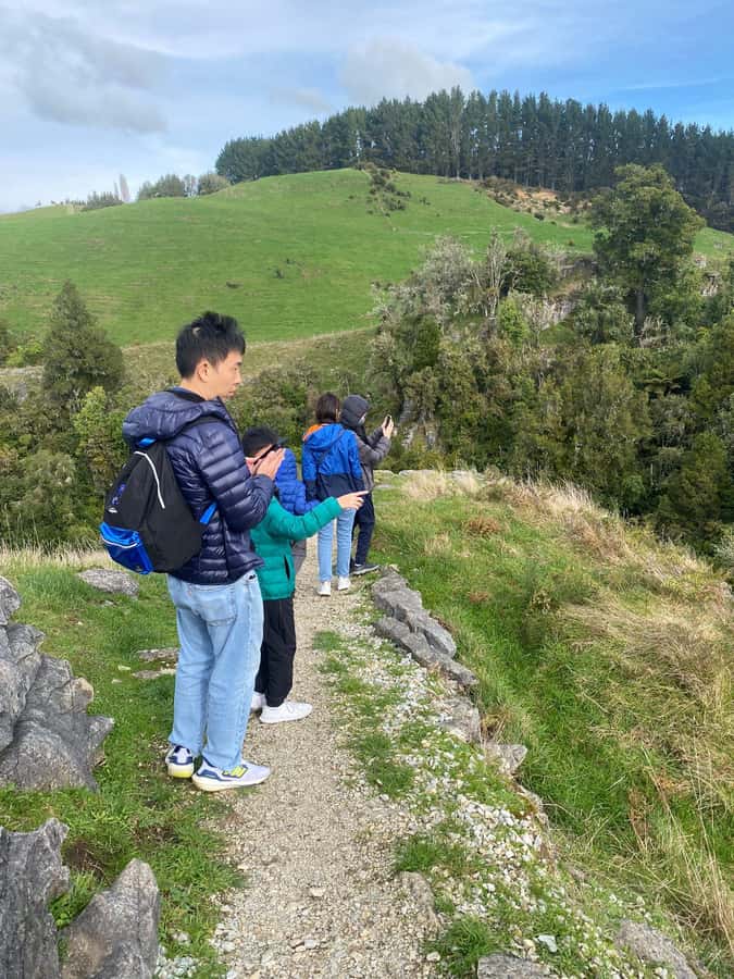 Auckland: Spellbound Glowworm Caves Explorer Tour - Price and value: is $194 fair for what you get?