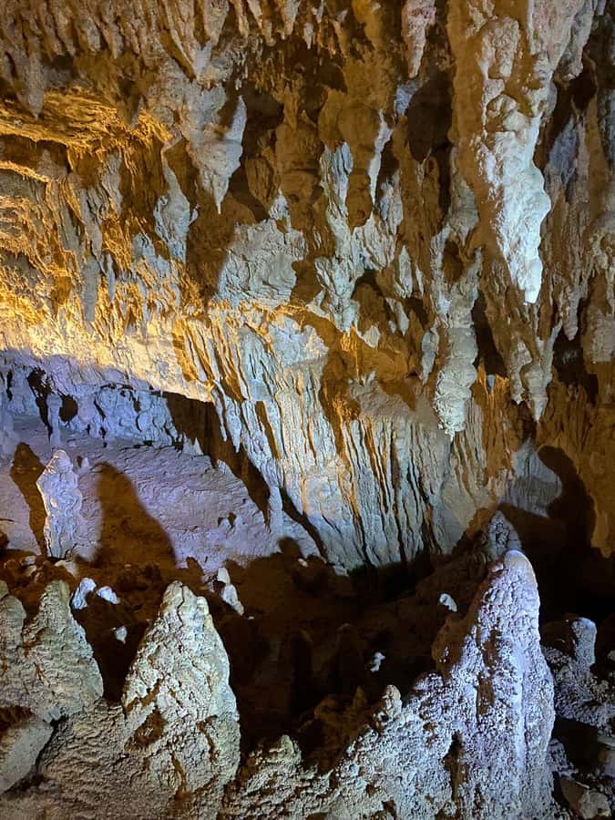Auckland: Spellbound Glowworm Caves Explorer Tour - Spellbound Glowworm Caves and Te Ana o Te Atua: what the guided cave time covers
