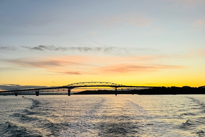 Auckland Sunset Harbour Cruise - Past Rangitoto Island: a volcano sighting without the hike