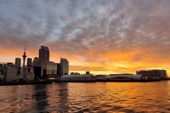 Auckland Sunset Harbour Cruise - The Red Boats experience: pace, noise, and what you’re really buying