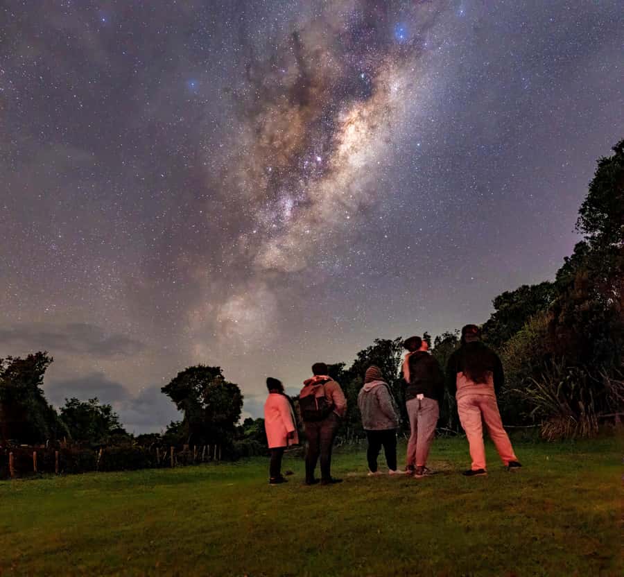 Auckland (Tawharanui): Wild Kiwi Bird Spotting Encounter - Quick Hits: What Makes Tāwharanui Night Work