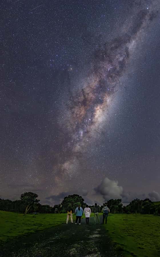 Auckland (Tawharanui): Wild Kiwi Bird Spotting Encounter - Tāwharanui after dark: why the sky is part of the wildlife