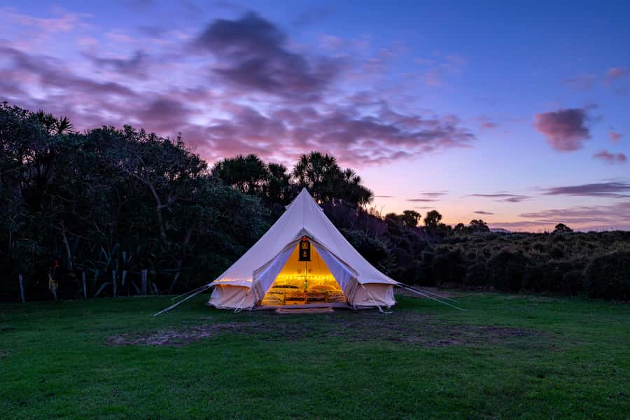 Auckland (Tawharanui): Wild Kiwi Bird Spotting Encounter - Who should book this Auckland kiwi spotting tour