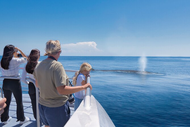 Auckland: Tikapa Moana Dolphin, Whale and Island Cruise - A 7-hour Hauraki Gulf wildlife hunt from the Auckland Viaduct