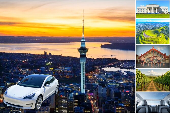 Auckland: Tikapa Moana Dolphin, Whale and Island Cruise - Rotoroa Island vs Man O’ War Vineyards on Waiheke