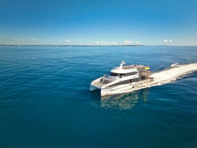 Auckland: Tikapa Moana Whales, Dolphins and Islands Cruise - Marine life searching in Tikapa Moana: expect dolphins first