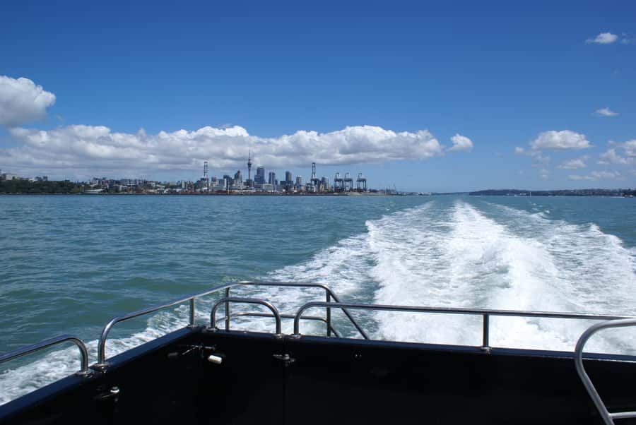 Auckland: Tikapa Moana Whales, Dolphins and Islands Cruise - Rotoroa Island vs Man O’ War on Waiheke: pick your kind of pause