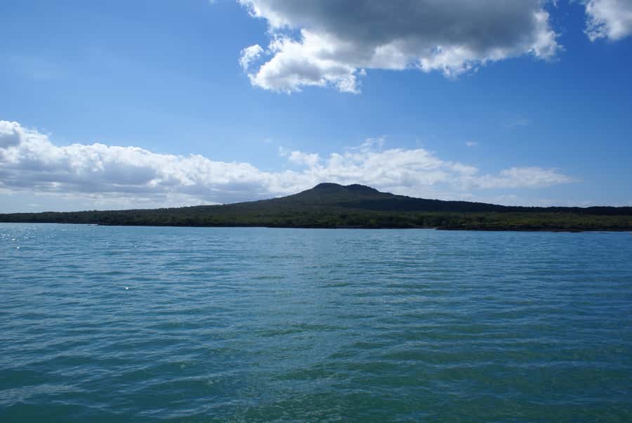 Auckland: Tikapa Moana Whales, Dolphins and Islands Cruise - What you learn: Tāmaki Makaurau stories and marine conservation