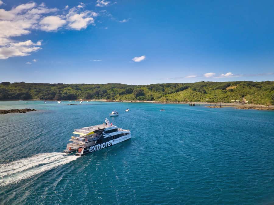 Auckland: Tiritiri Matangi Island Ferry - Key things to know before you go