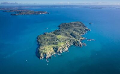 Auckland: Tiritiri Matangi Island Ferry - The Hauraki Gulf cruise on Tikapa Moana: the calm part of the day