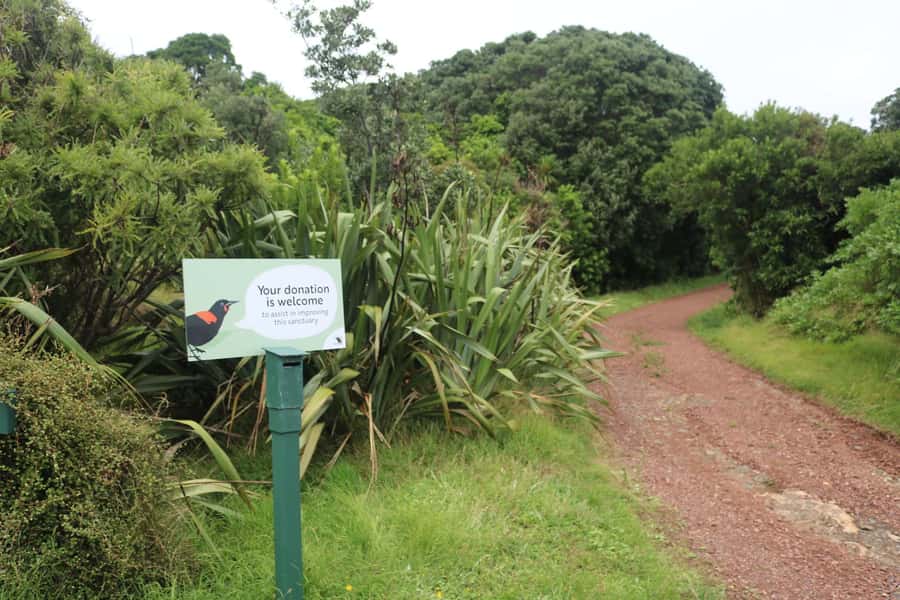 Auckland: Tiritiri Matangi Island Ferry - Price and value: is $65 worth it?