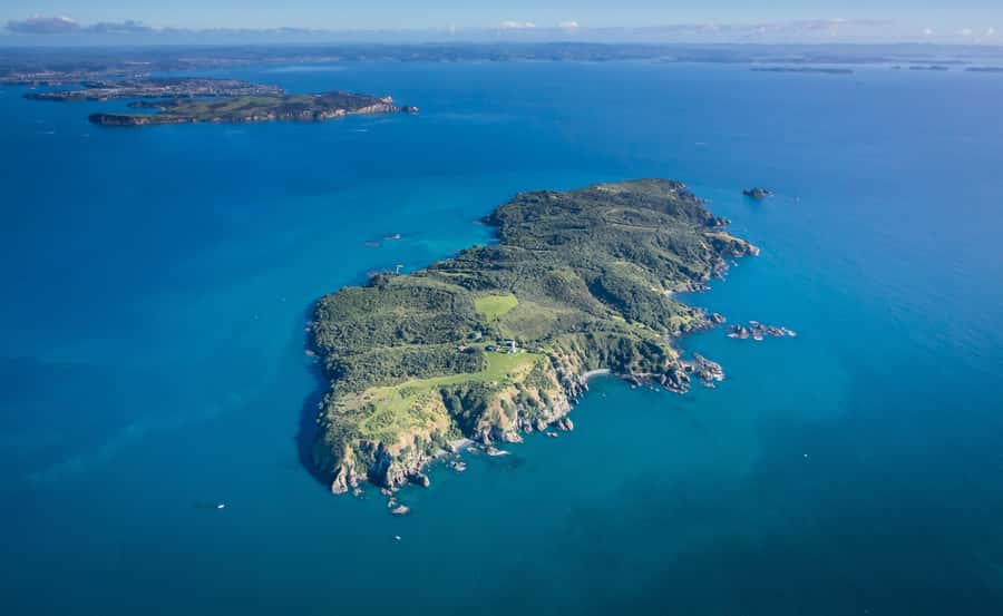 Auckland: Tiritiri Matangi Island Ferry - The Hauraki Gulf cruise on Tikapa Moana: the calm part of the day