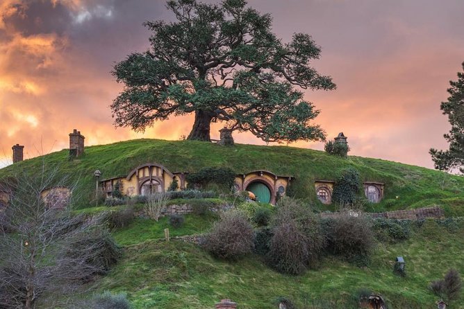 Auckland to Hobbiton Movie Set and Rotorua's Geothermal Valley - Comfort and small-group perks you’ll feel on the road