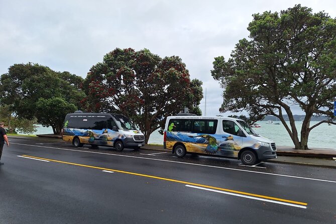 Auckland to Paihia via West Coast Small Group Tour (One Way) - Waipoua Forest and Tane Mahuta: see a living giant