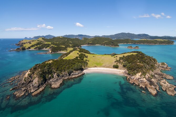 Auckland to Paihia via West Coast Small Group Tour (One Way) - Opononi lunch stop on Hokianga Harbour