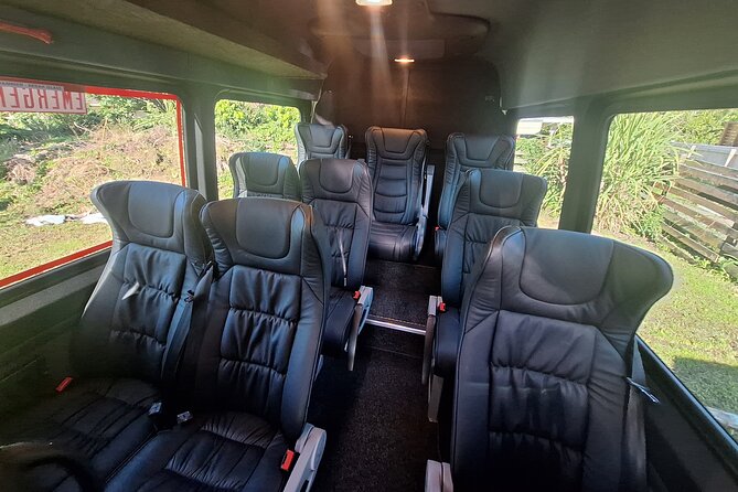 Auckland to Paihia via West Coast Small Group Tour (One Way) - Small-group minibus: comfort, extras, and a more human pace