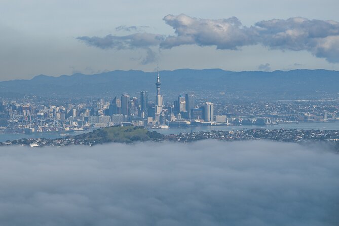 Auckland to Rangitoto Island Ferry - Rangitoto’s Volcanic Cone: The View You’re Actually Here For