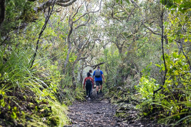Auckland to Rangitoto Island Ferry - What to Pack: No Shops, Wind, and Stairs That Add Up