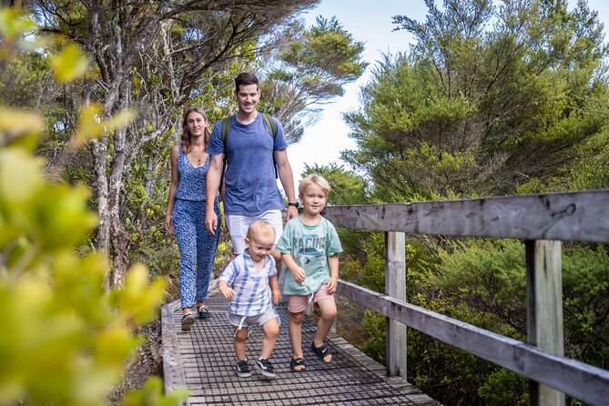 Auckland to Rangitoto Island Ferry - Price and Value: Is $37.23 a Good Deal?