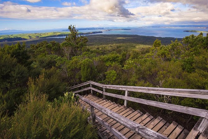 Auckland to Rangitoto Island Ferry - Boarding Fullers360 in Auckland CBD: Where You Start Matters