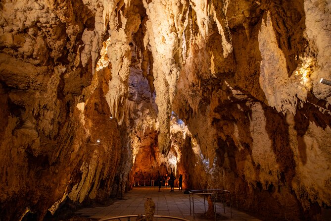 Auckland to Rotorua, Hobbiton and Waitomo 1 Way Small Group Tour - Price and value: is $266.23 per person a good deal?