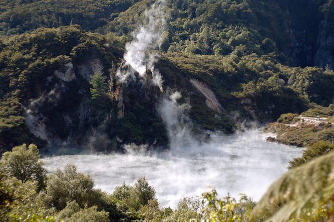 Auckland to Rotorua Private Tour - Mercedes Comfort and Real Pickup in Auckland