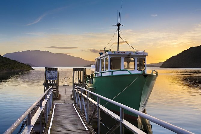 Auckland to Rotorua Private Tour - The Thermal Explorer Highway Drive: Time With Context