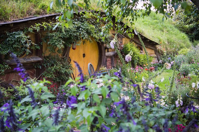 Auckland to Rotorua via Hobbiton Small Group Tour (One Way) - What to pack and how to time your day
