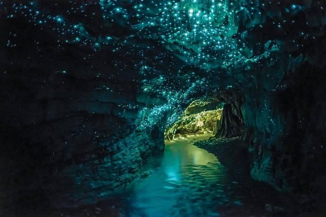 Auckland to Rotorua via Waitomo Caves Small Group Tour (One Way) - Auckland to Rotorua, one way: what you’re really buying