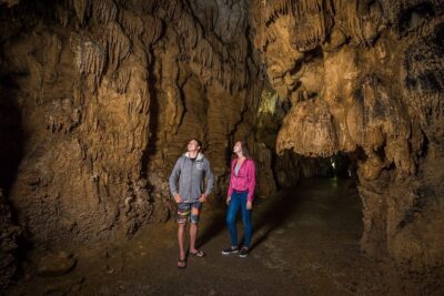 Auckland to Rotorua via Waitomo Caves Small Group Tour (One Way) - The 6:00 am start and why it matters for planning