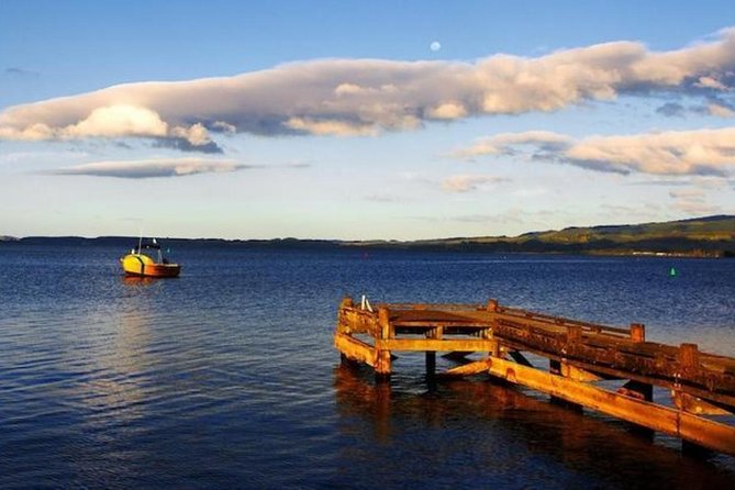 Auckland to Rotorua via Waitomo Caves Small Group Tour (One Way) - Rotorua drop-off and the Te Puia choice before you end the day