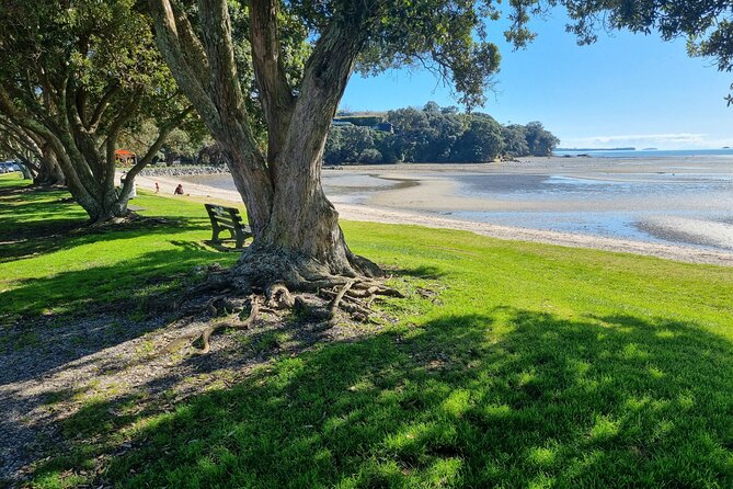 Auckland Town and Country Delights Tour - Key things you’ll notice on this tour