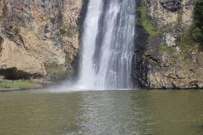Auckland Town and Country Delights Tour - Auckland Town and Country Delights: what the day feels like