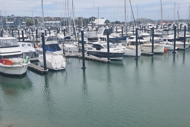 Auckland Town and Country Delights Tour - Cockle Bay: a small beach that hits the spot