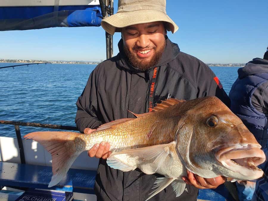 Auckland: Twilight Fishing Charter 5pm - 9:30pm - Twilight fishing in the Hauraki Gulf: the vibe you’re paying for