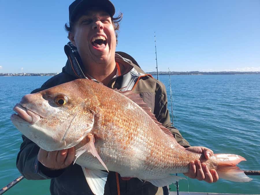 Auckland: Twilight Fishing Charter 5pm - 9:30pm - Getting to Z Pier Westhaven Marina: reduce the risk of a missed meet-up