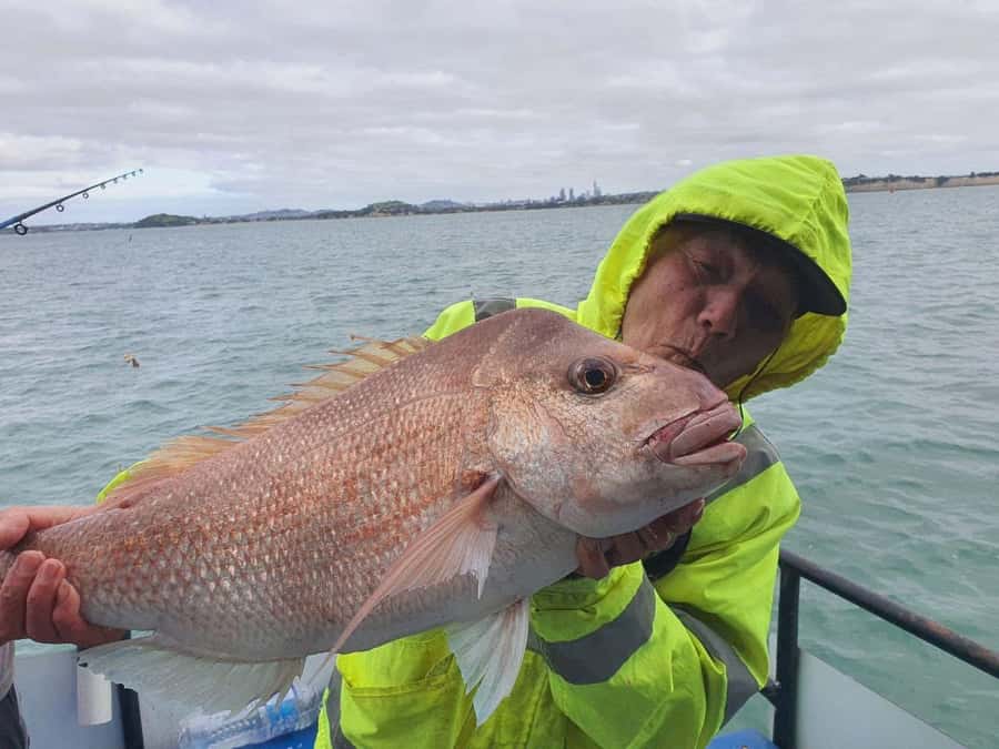 Auckland: Twilight Fishing Charter 5pm - 9:30pm - 5:00–6:30pm: check-in, set-up, and getting lines ready