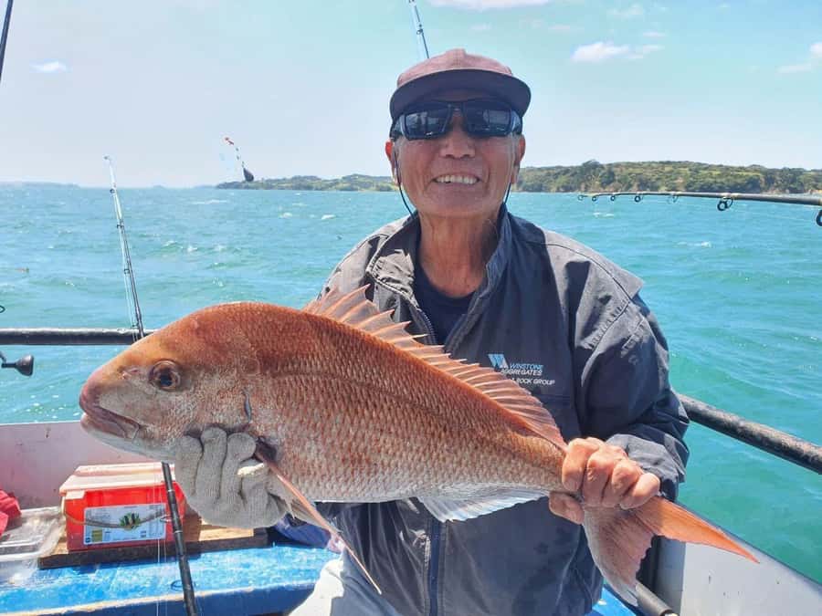 Auckland: Twilight Fishing Charter 5pm - 9:30pm - The fishing phase: targeting snapper, kahawai, and gurnard