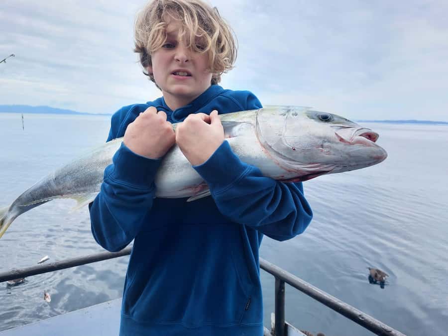 Auckland: Twilight Fishing Charter 5pm - 9:30pm - What to do with your catch: dinner, chilly bins, and keeping things organized