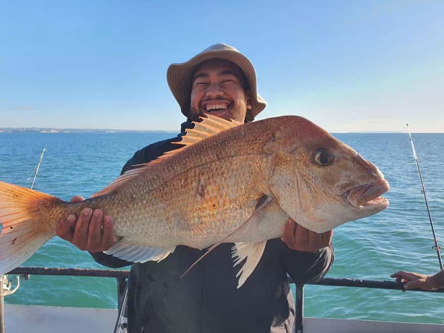 Auckland: Twilight Fishing Charter 5pm - 9:30pm - Price and gear value for $40: what you bring vs what you get