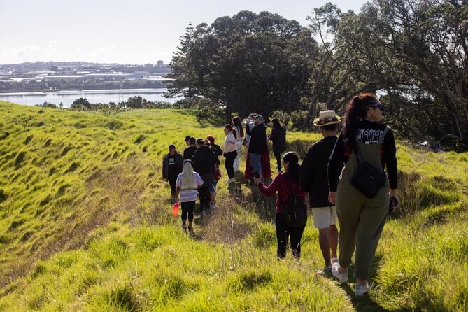 Auckland Urban Māori Experience with Transportation - Getting to the day: private, air-conditioned, and actually comfortable