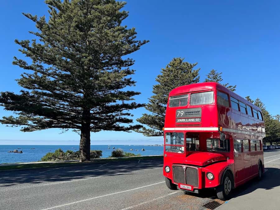 Auckland: Vintage Double-Decker Bus Sightseeing Tour - The big-picture route: one loop, key neighborhoods, Harbour Bridge views