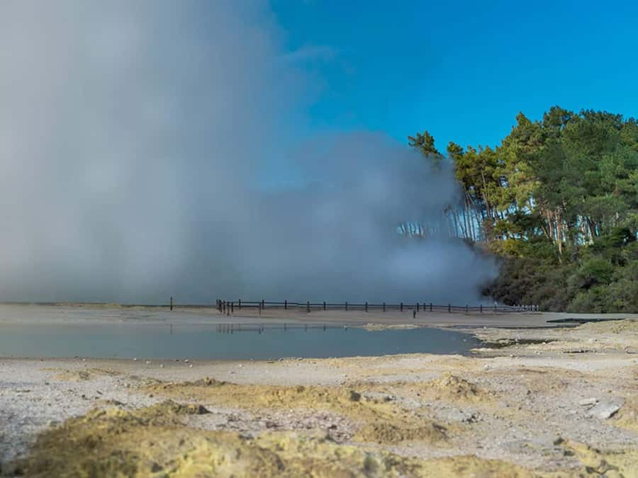 Auckland: Wai-O-Tapu, Maori Haka & Hot Springs Rotorua Tour - Price and value: why $233 can make sense for a one-day Rotorua hit