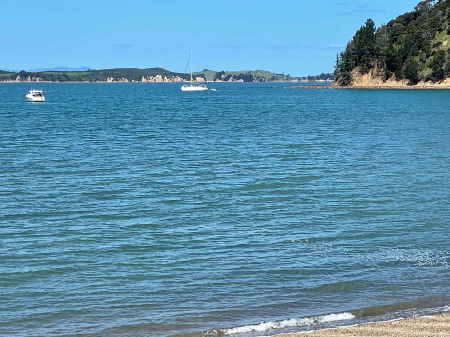 Auckland: Waiheke Island Luxury Experience Private Tour - Food tasting and lunch: the midday payoff (with a view factor)