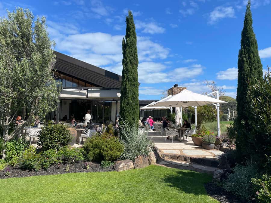 Auckland: Waiheke Island Luxury Experience Private Tour - The upgrade options: when you want your arrival to feel cinematic